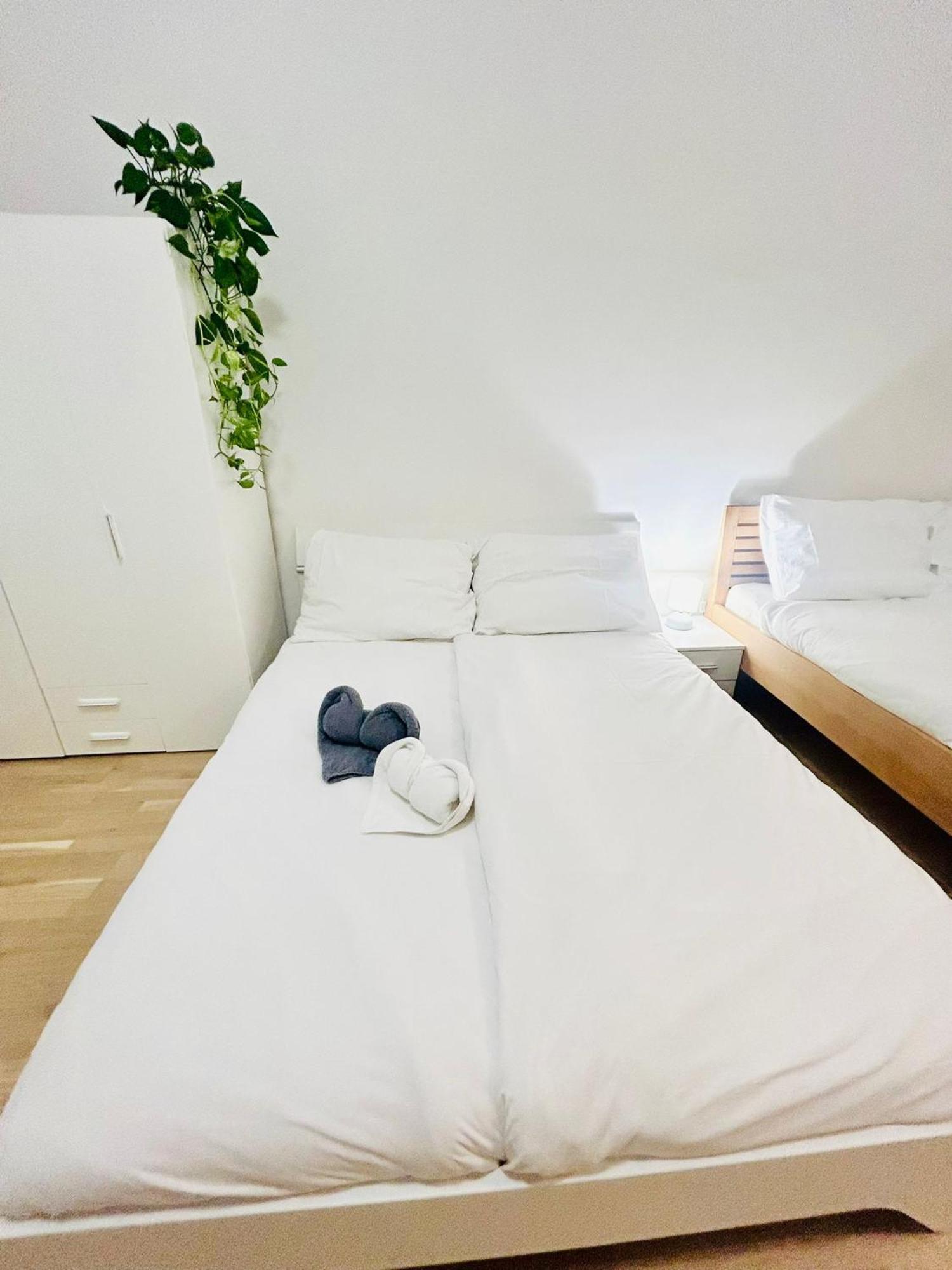 New Design & Style Apartments 50M From Wenceslas Square Prag Eksteriør billede